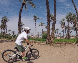 Visite de la palmeraie de Marrakech à vélo